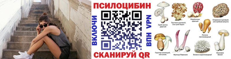 Псилоцибиновые грибы мицелий  Сычёвка 